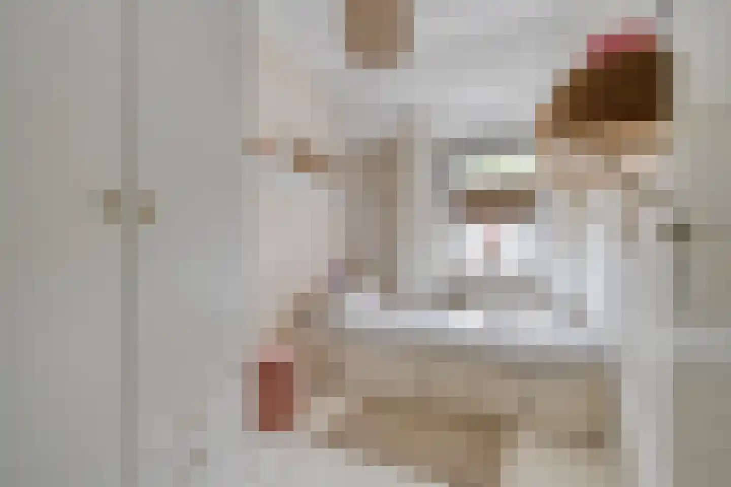 Grutto 99 Raalte thumbnail 27