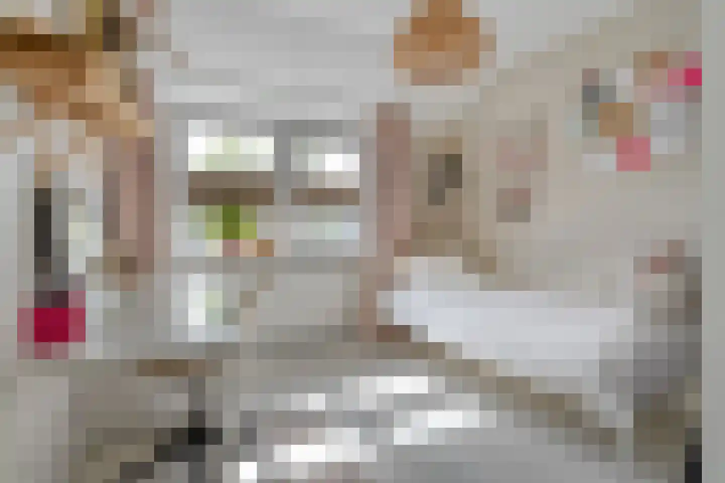Grutto 99 Raalte thumbnail 29