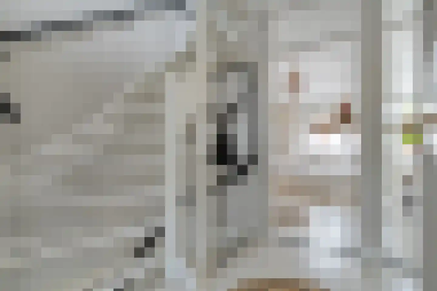 Grutto 99 Raalte thumbnail 35