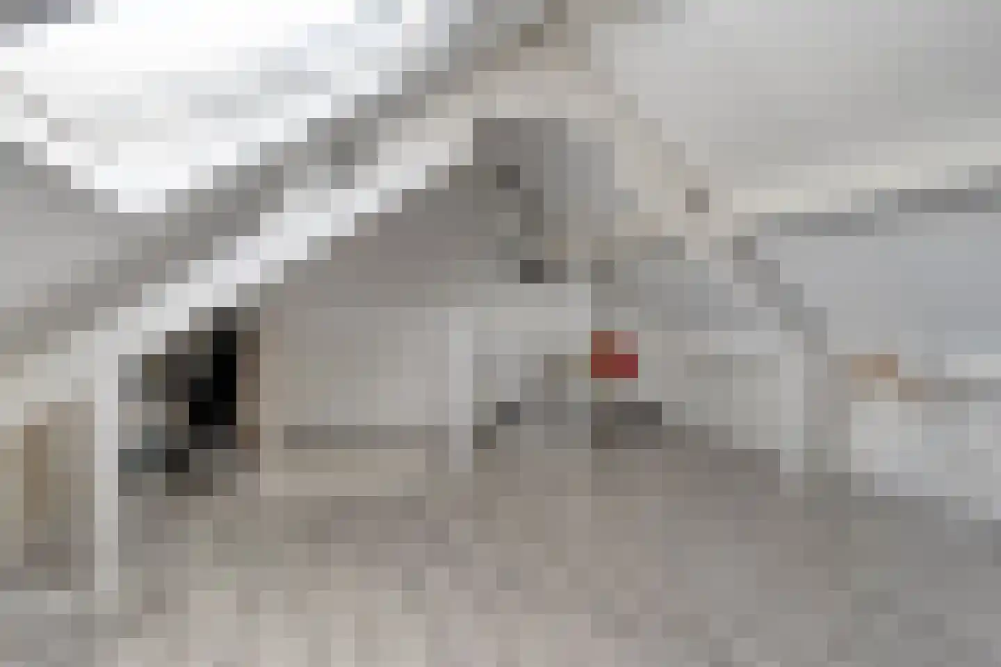 Grutto 99 Raalte thumbnail 37