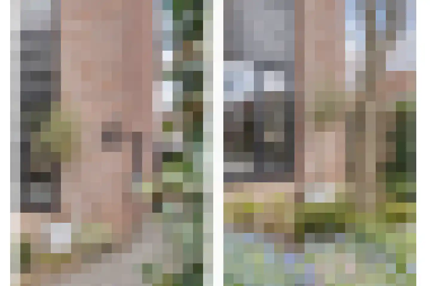 Grutto 99 Raalte thumbnail 40