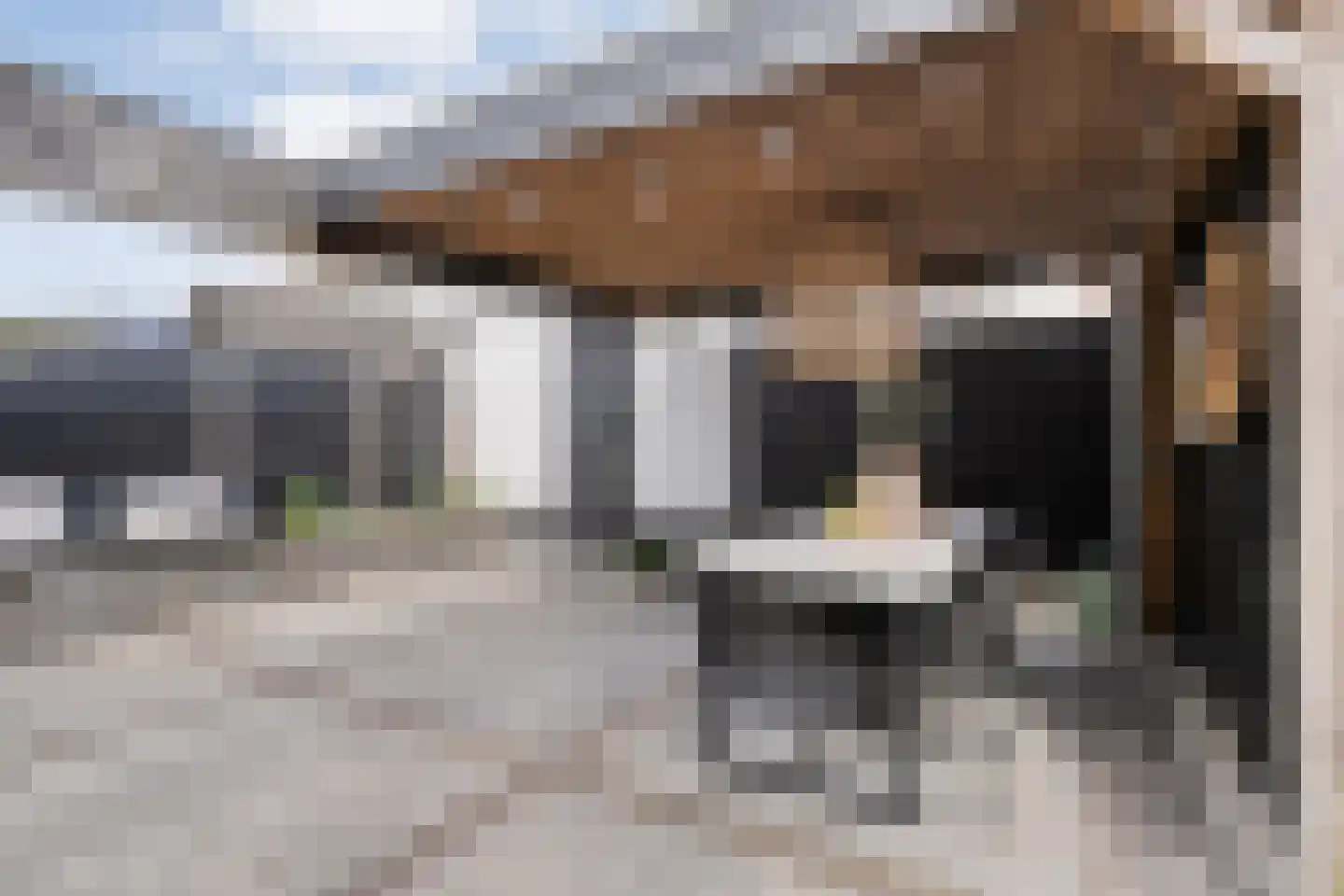 Grutto 99 Raalte thumbnail 42