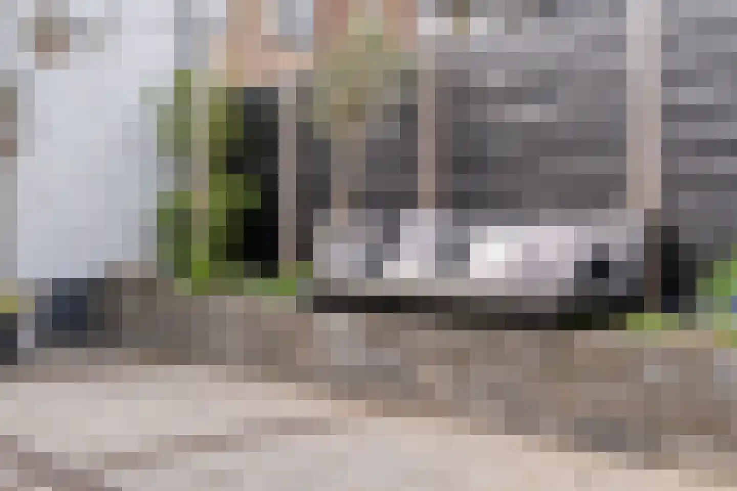 Grutto 99 Raalte thumbnail 47