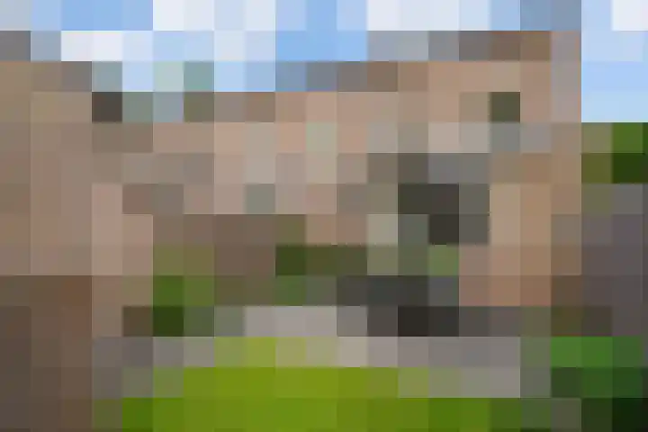 Gruttoborch 29 Rosmalen thumbnail 20