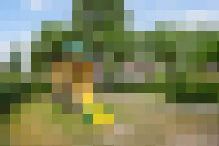 Gruttoborch 29 Rosmalen thumbnail 44