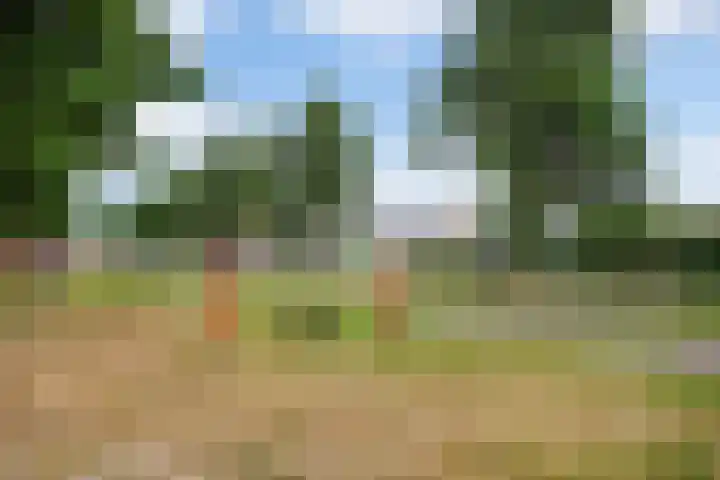 Gruttoborch 29 Rosmalen thumbnail 45