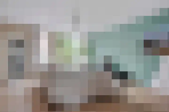 Gruttoborch 29 Rosmalen thumbnail 6