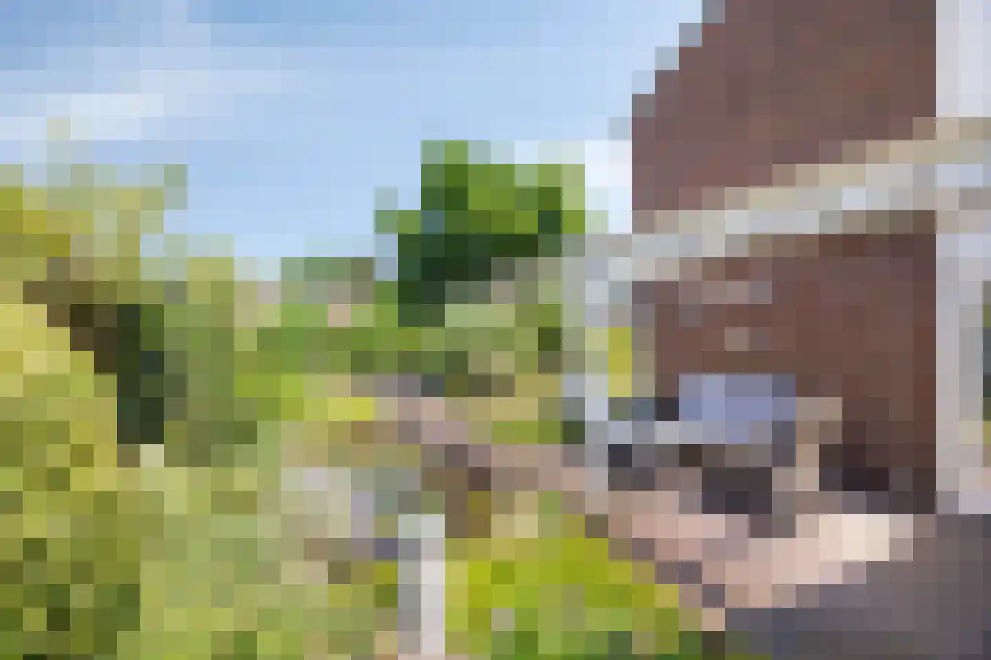 Gruttodonk 7 Veghel thumbnail 25