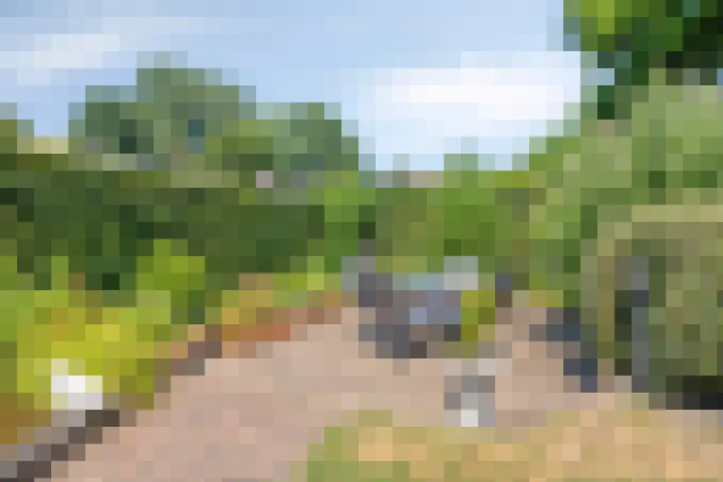 Gruttodonk 7 Veghel thumbnail 27
