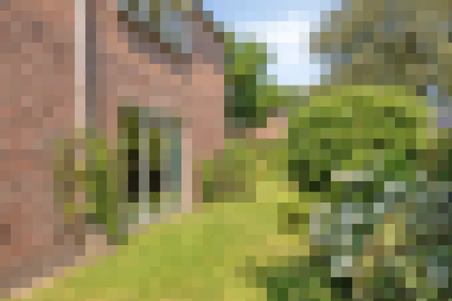 Gruttodonk 7 Veghel thumbnail 29
