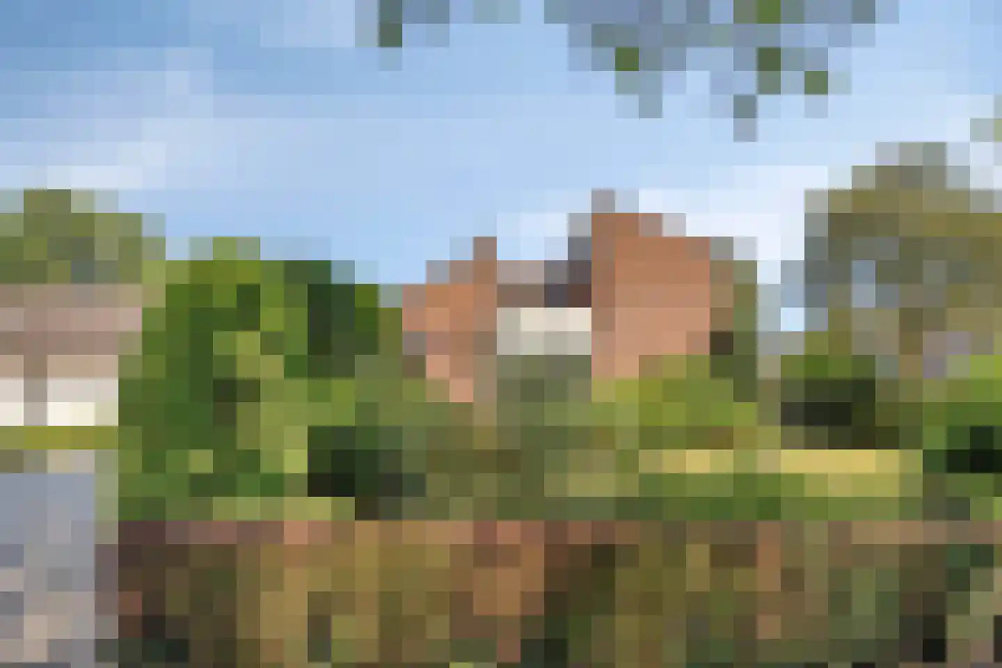 Gruttodonk 7 Veghel thumbnail 31