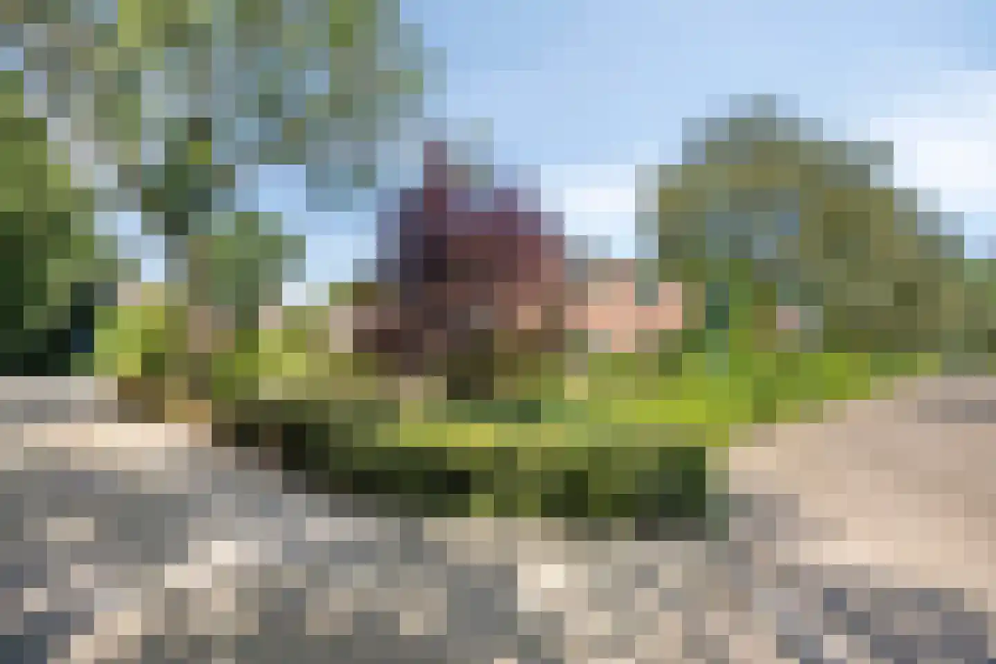 Gruttodonk 7 Veghel thumbnail 33