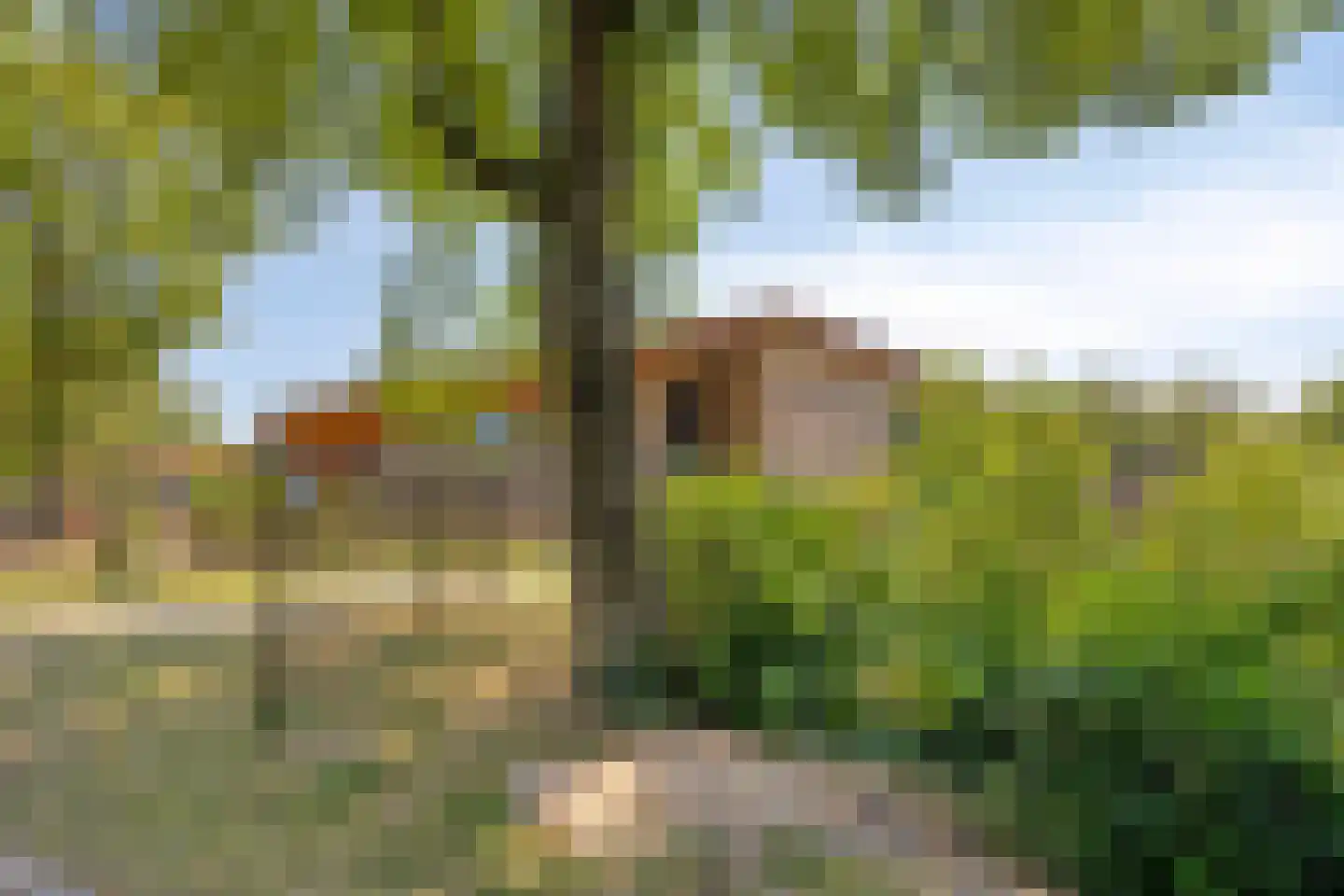 Gruttodonk 7 Veghel thumbnail 35