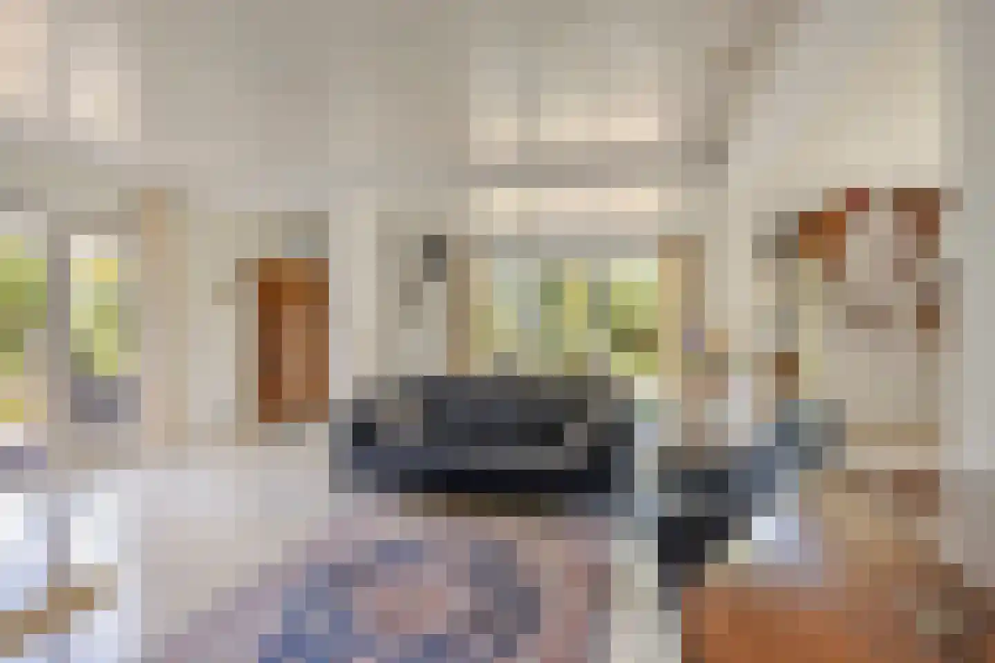 Gruttodonk 7 Veghel thumbnail 7
