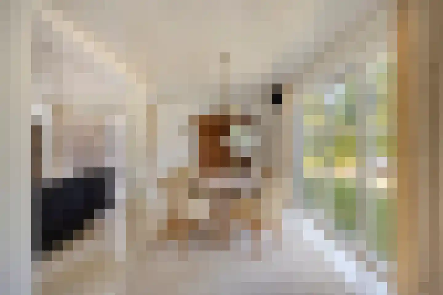 Gruttodonk 7 Veghel thumbnail 8