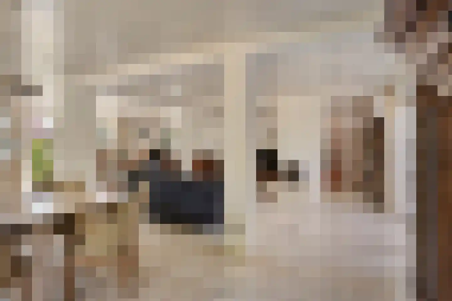 Gruttodonk 7 Veghel thumbnail 9