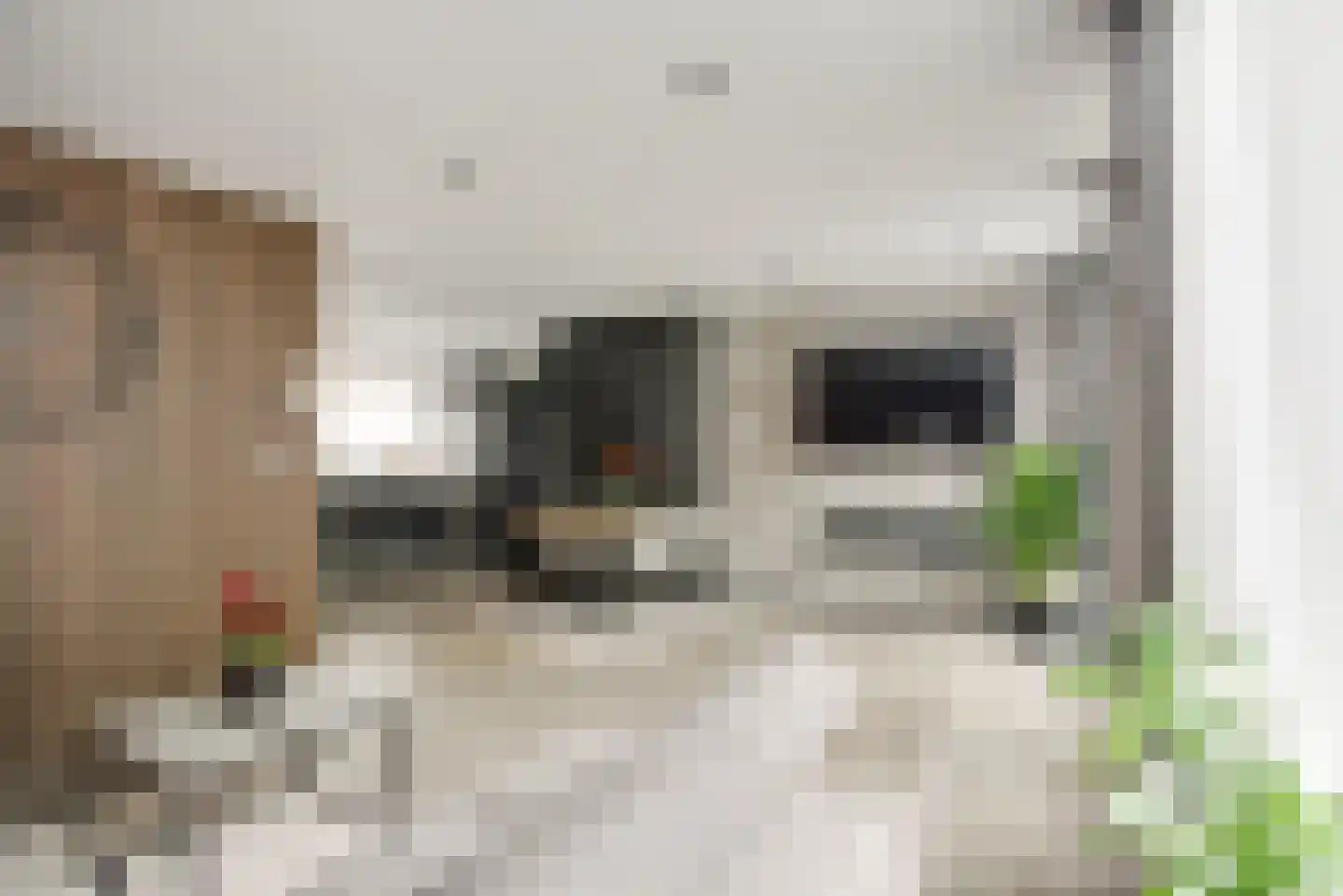 Gruttohoek 6 Spijkenisse thumbnail 15