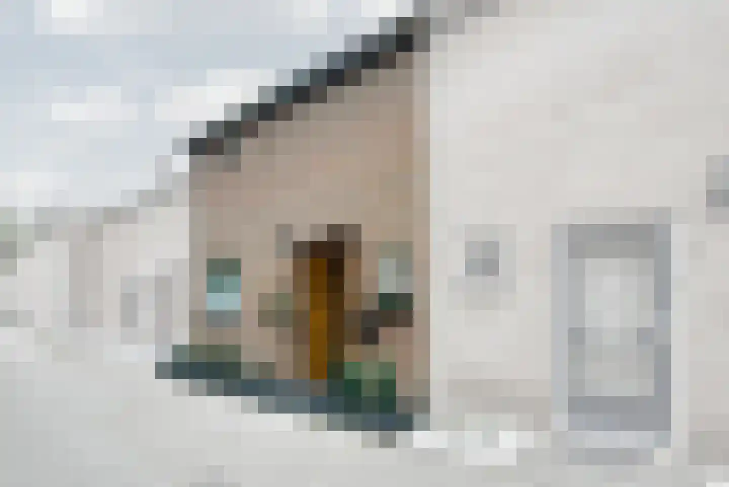 Gruttohoek 6 Spijkenisse thumbnail 32