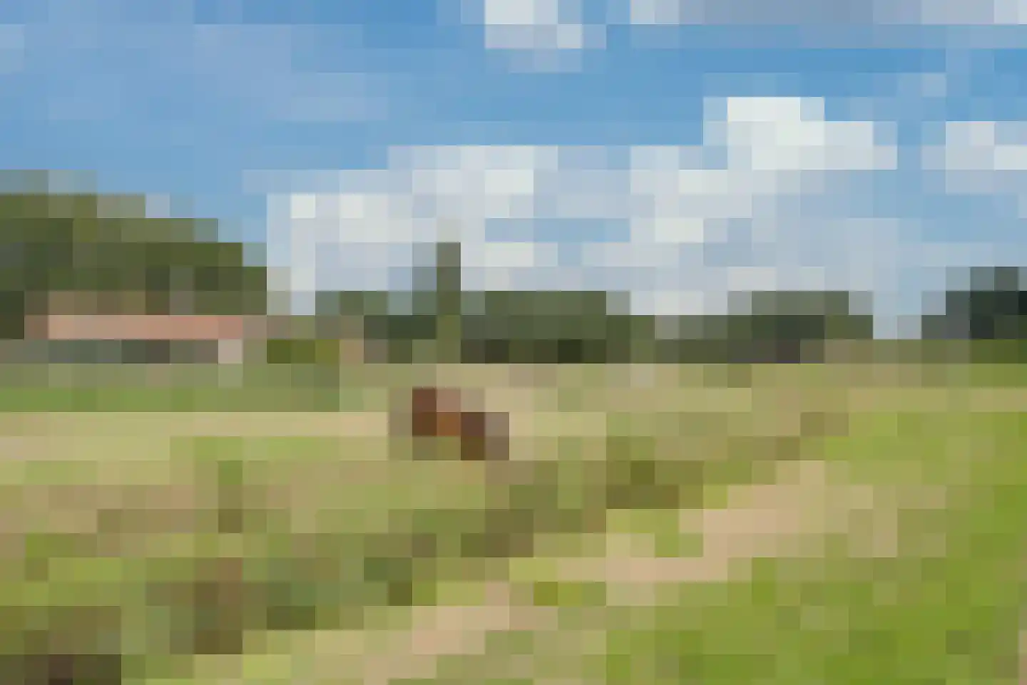 Gruttohoek 6 Spijkenisse thumbnail 40