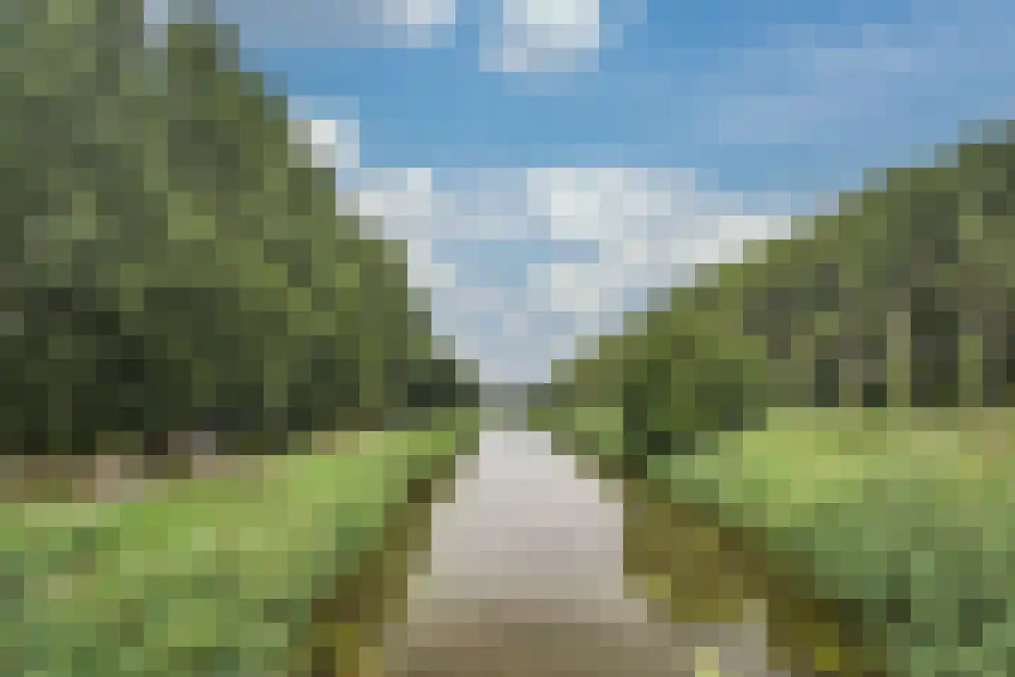 Gruttohoek 6 Spijkenisse thumbnail 41
