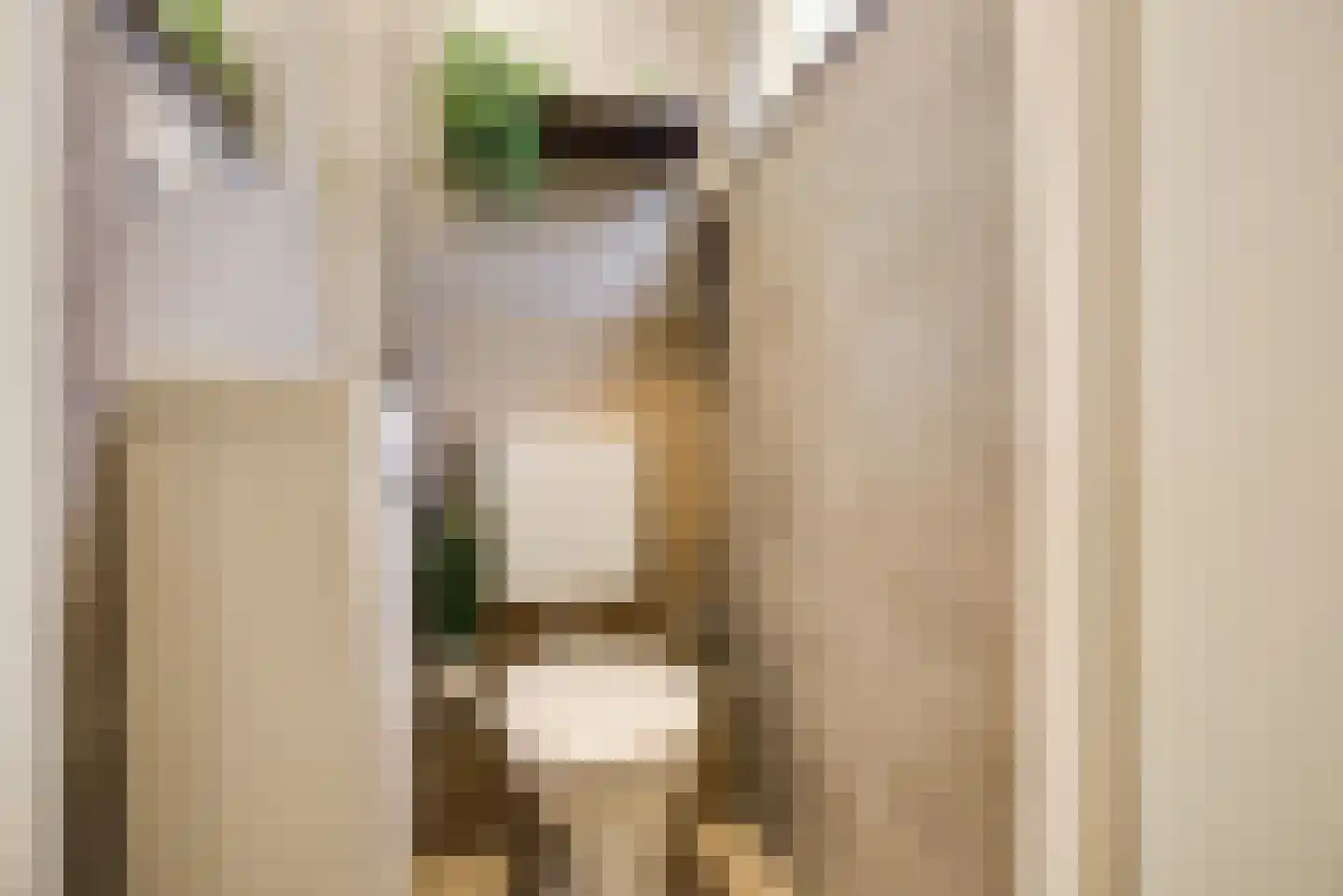 Gruttohoek 6 Spijkenisse thumbnail 7