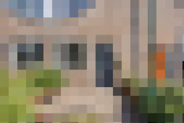 Gruttohof 11 Dongen thumbnail 11