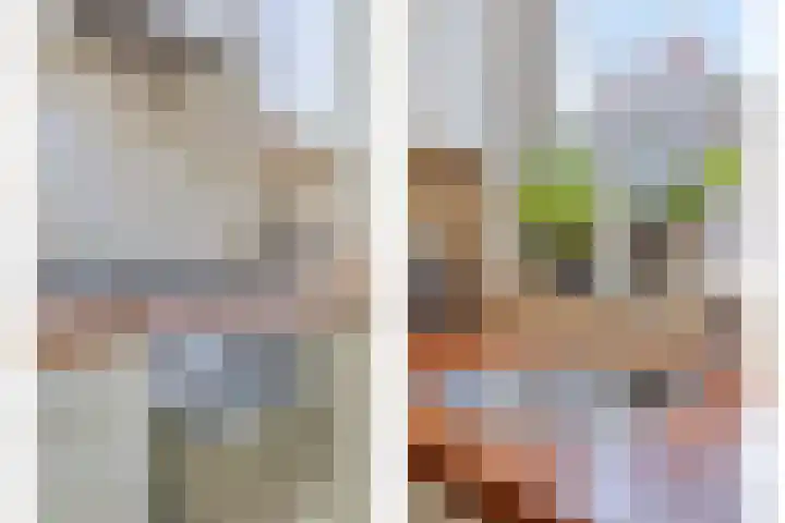 Gruttohof 11 Dongen thumbnail 22