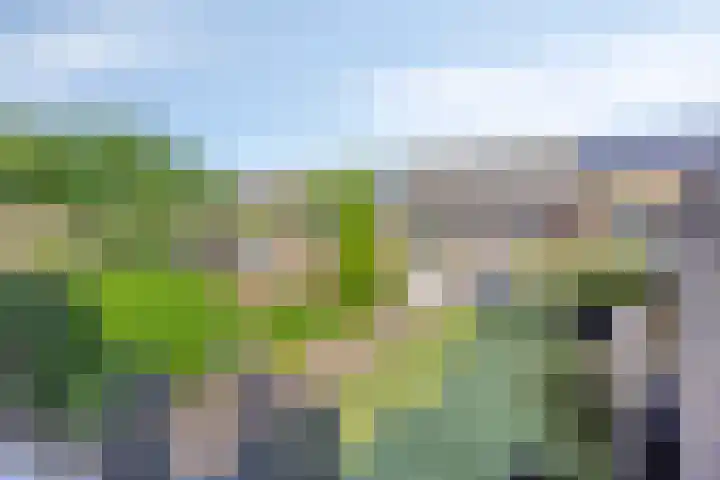 Gruttohof 11 Dongen thumbnail 35