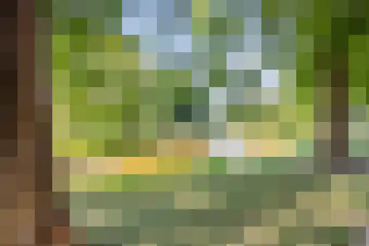 Gruttohof 11 Dongen thumbnail 39