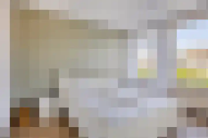 Gruttohof 11 Dongen thumbnail 4