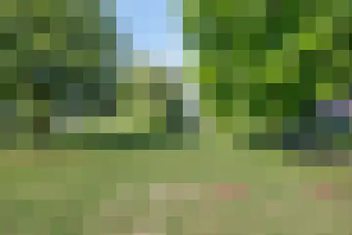 Gruttohof 11 Dongen thumbnail 40