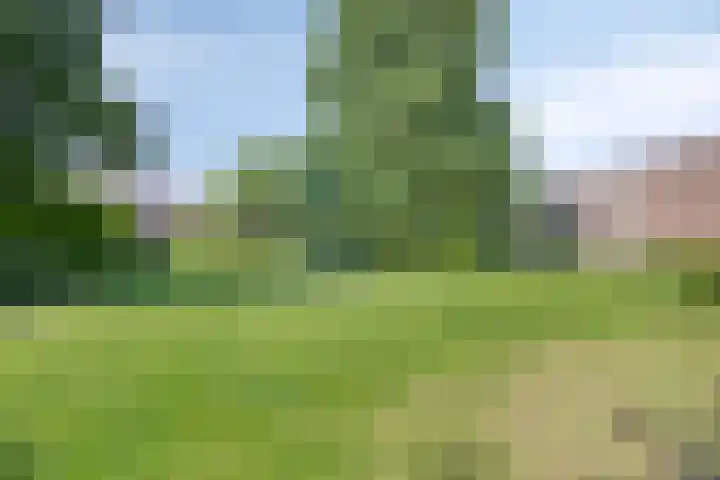 Gruttohof 11 Dongen thumbnail 41