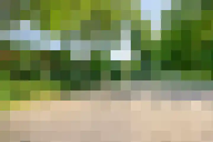 Gruttohof 11 Dongen thumbnail 42