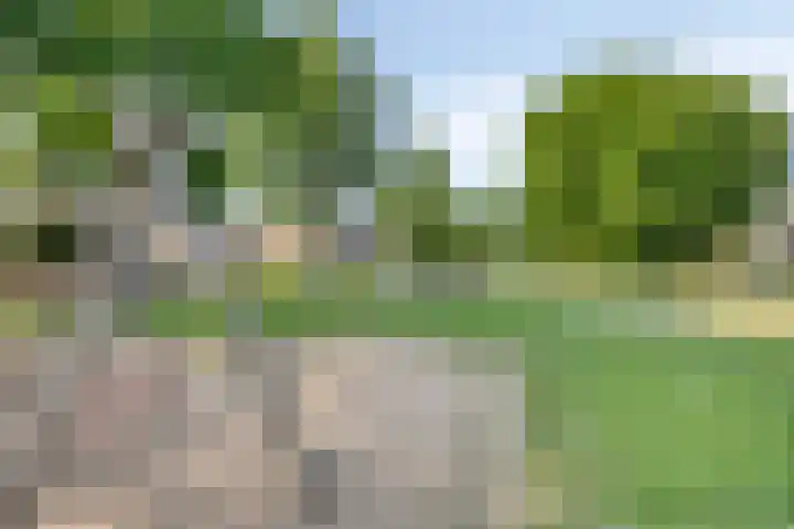 Gruttohof 11 Dongen thumbnail 43