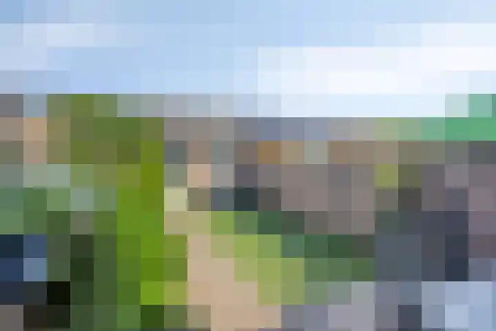 Gruttohof 11 Dongen thumbnail 6