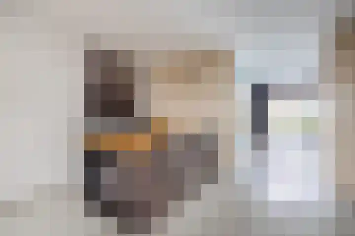 Gruttohof 15 Dongen thumbnail 14