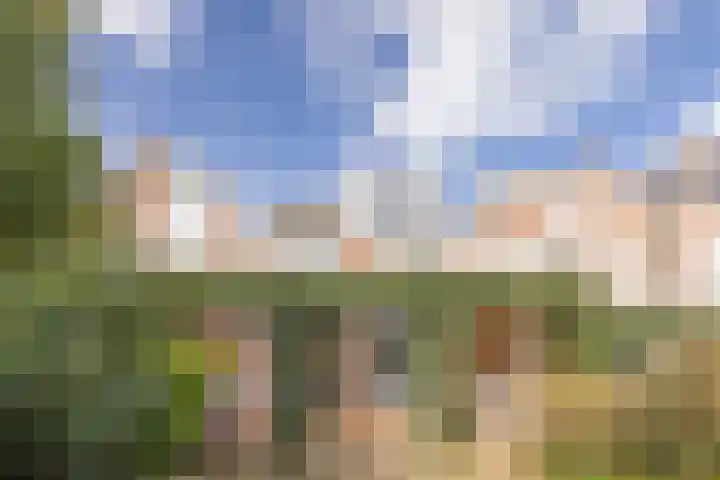 Gruttohof 15 Dongen thumbnail 20