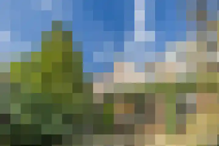 Gruttohof 15 Dongen thumbnail 22