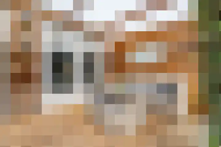 Gruttohof 15 Dongen thumbnail 26