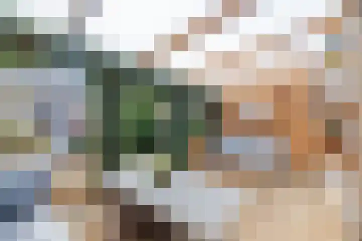 Gruttohof 15 Dongen thumbnail 27