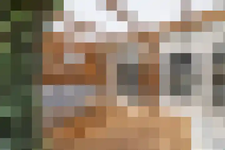 Gruttohof 15 Dongen thumbnail 28