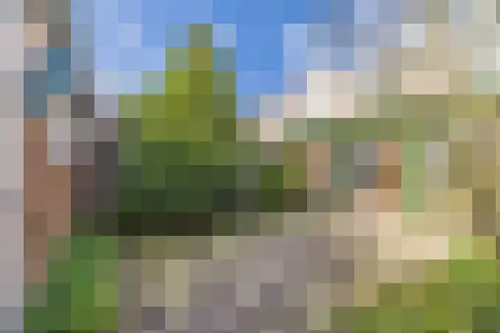Gruttohof 15 Dongen thumbnail 29