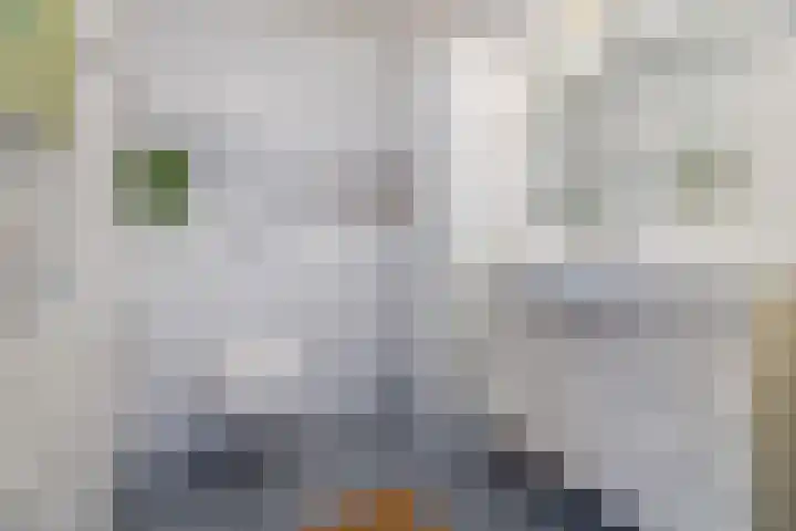 Gruttohof 15 Dongen thumbnail 38