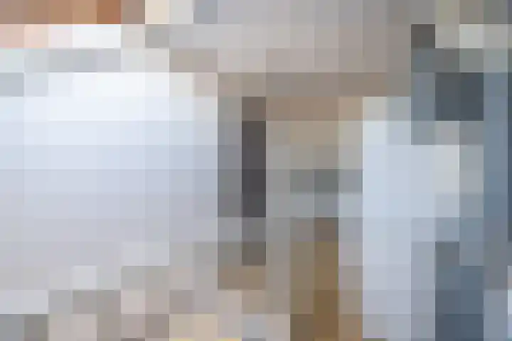 Gruttohof 15 Dongen thumbnail 42