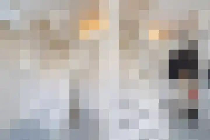 Gruttohof 15 Dongen thumbnail 6