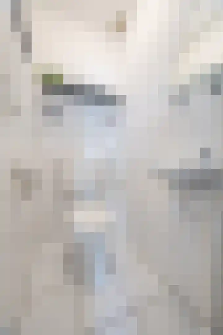 Gruttohof 15 Dongen thumbnail 7