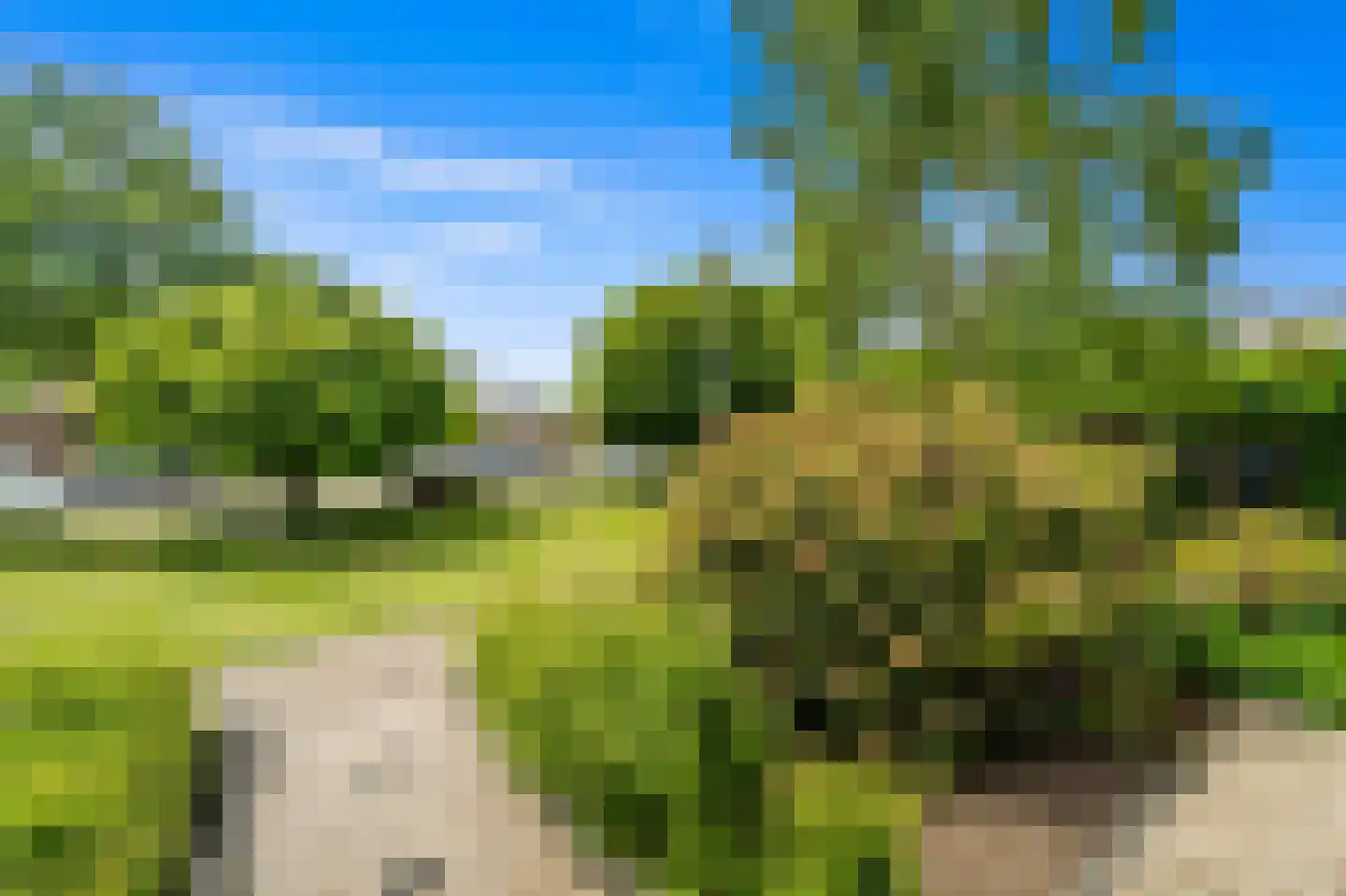 Gruttohof 7 Schipluiden thumbnail 11