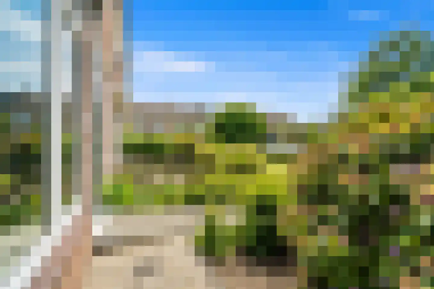 Gruttohof 7 Schipluiden thumbnail 12