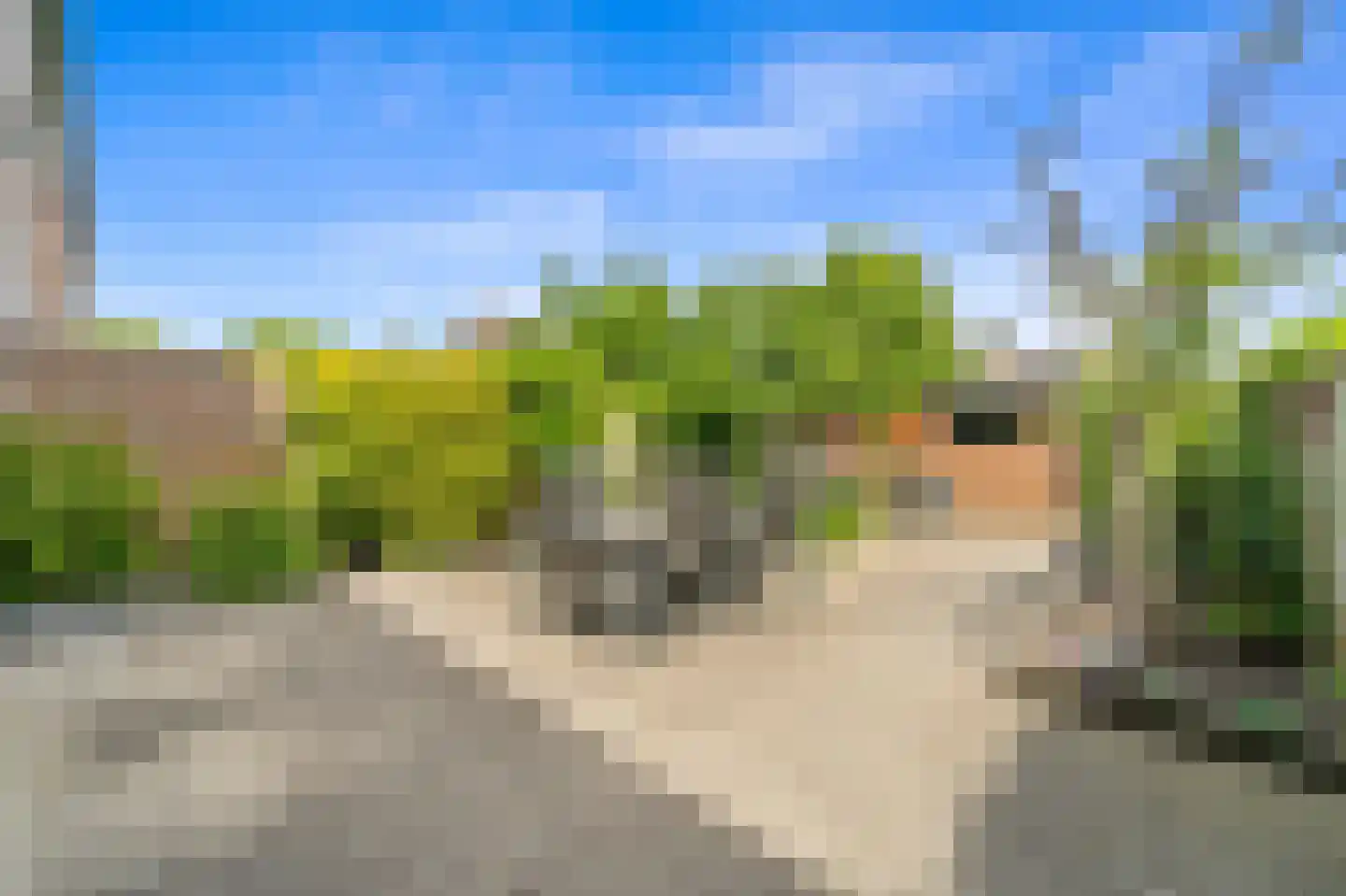Gruttohof 7 Schipluiden thumbnail 27