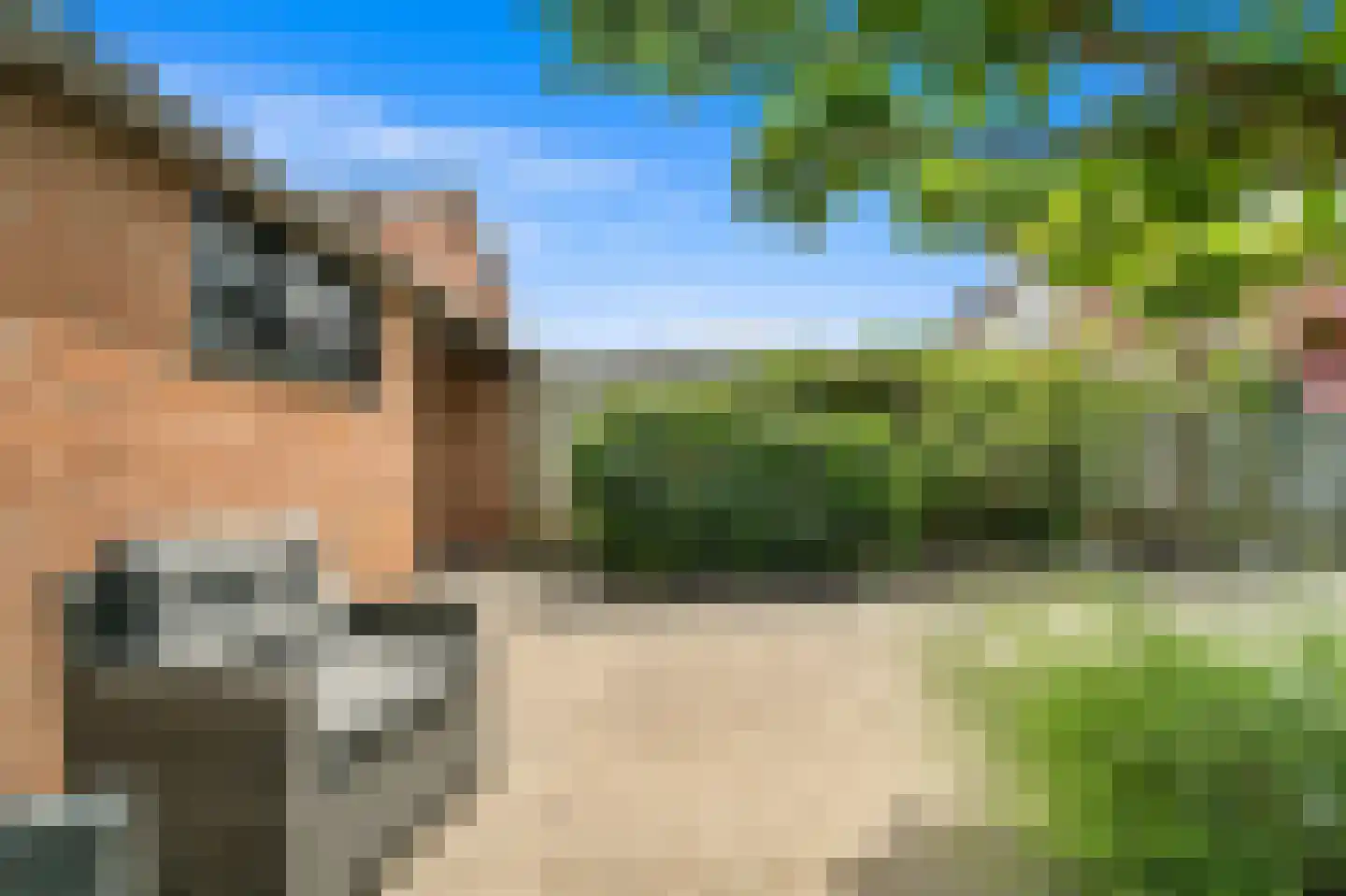 Gruttohof 7 Schipluiden thumbnail 30